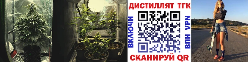 ТГК гашишное масло  цена   Сарапул 